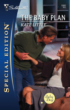Cover image for The Baby Plan
